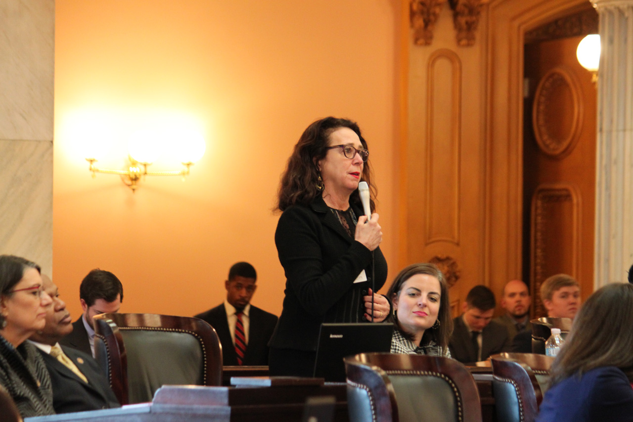 Rep. Lepore-Hagan speaks on the House floor during session