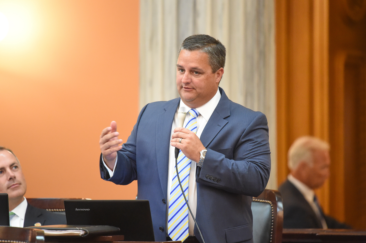 Rep. Wilkin speaks during House session June 20, 2018.