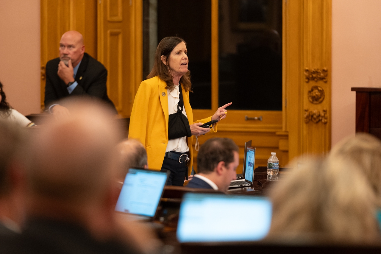Rep. Richardson speaks on the House floor during session.