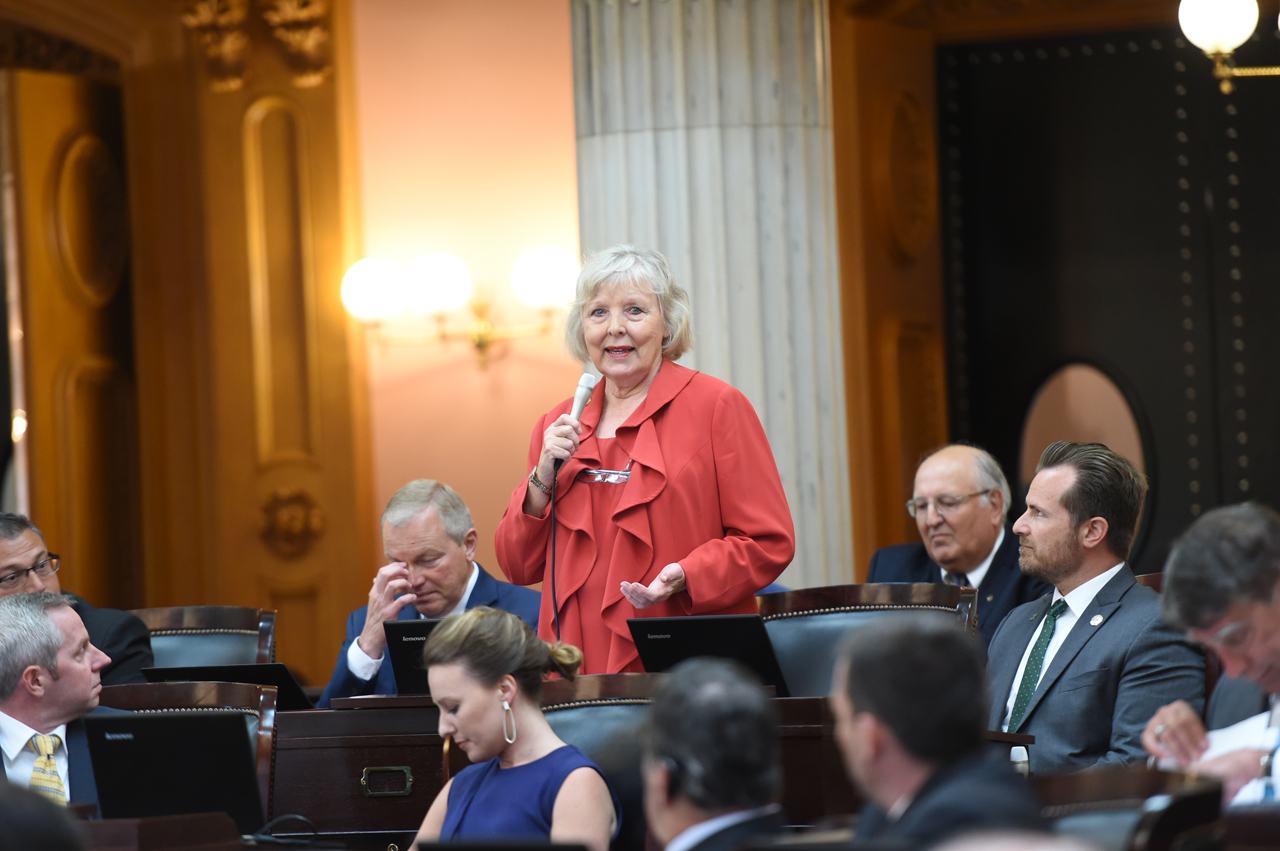 Rep. Grendell addresses the House following her election to the 76th district seat