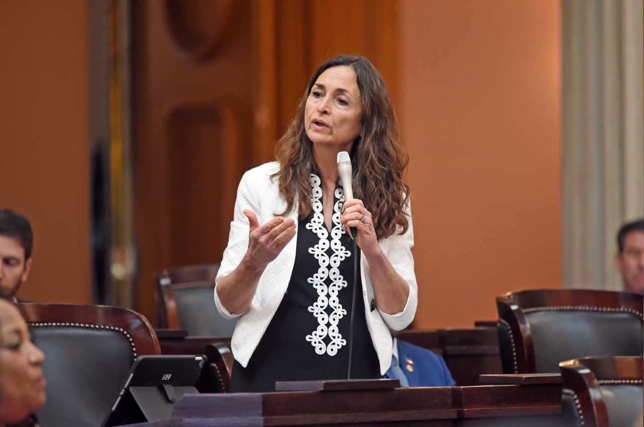 Representative White gives a speech on the House Floor prior to the passage of her legislation to provide educational opportunities for military children.