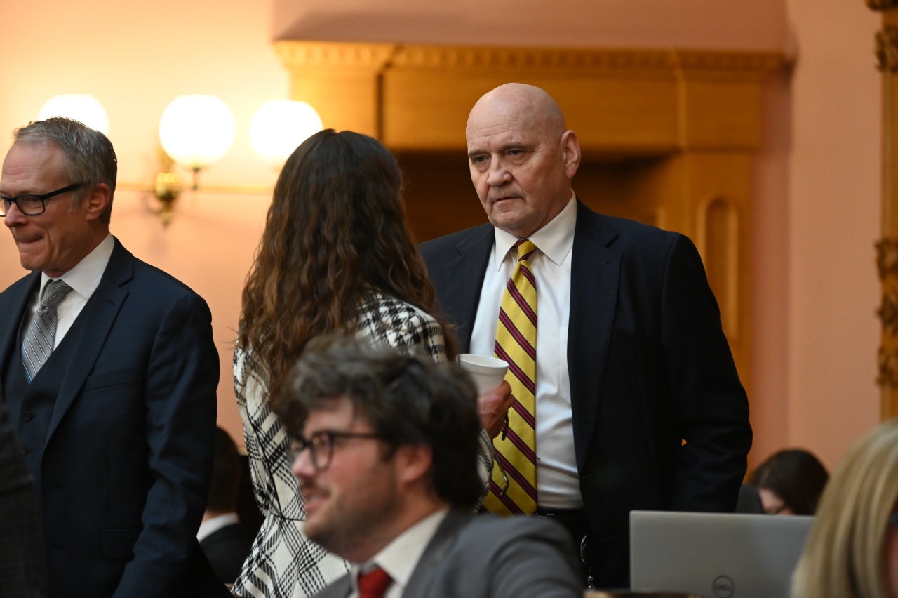 Rep. Young in House Session