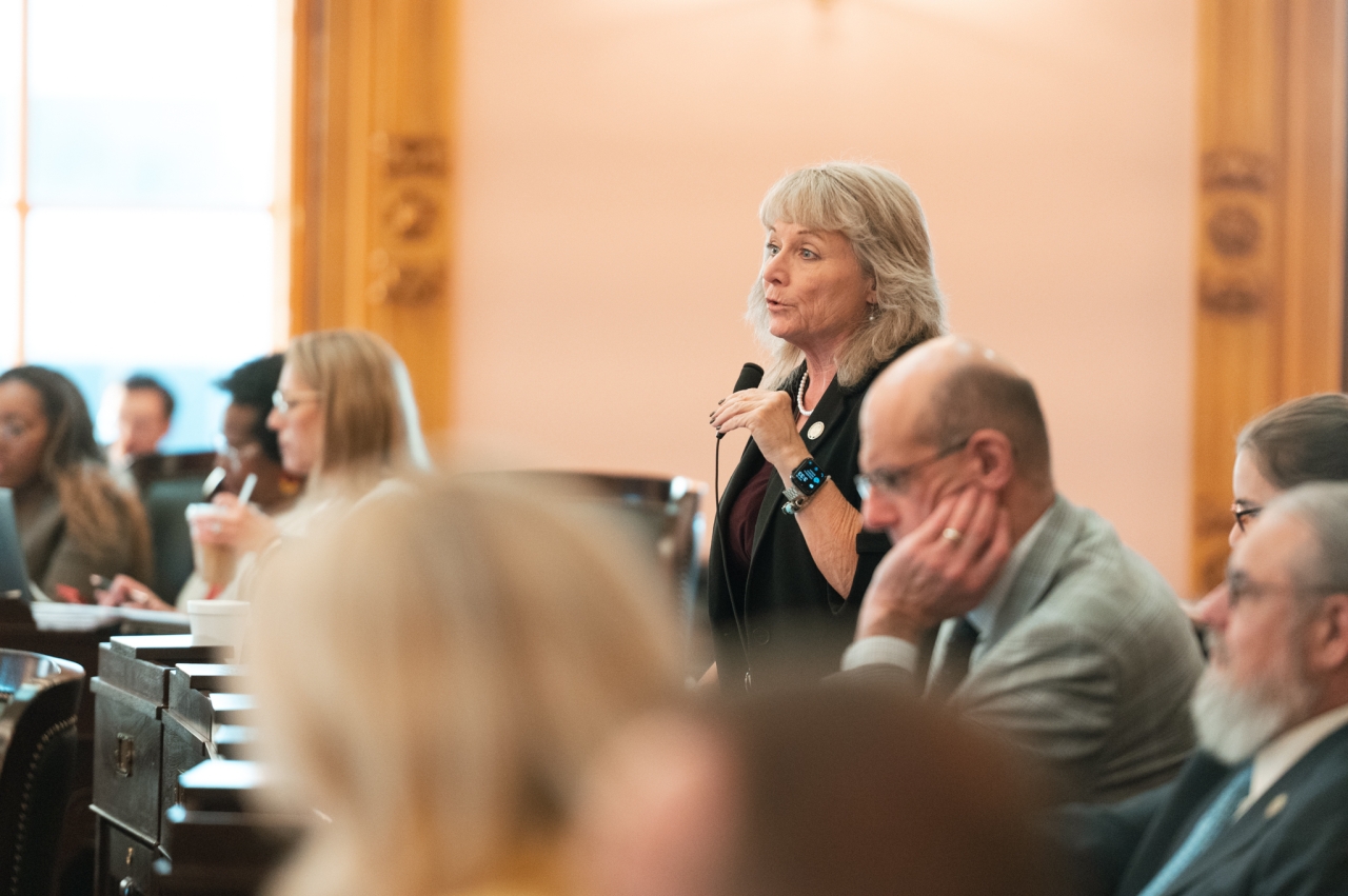 Rep. Ray speaks on the House floor during session.