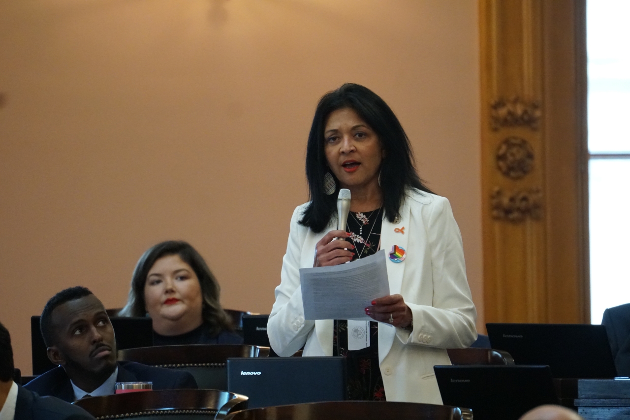 Rep. Somani speaks on the House floor in opposition to House Bill 68, the ban on gender-affirming care