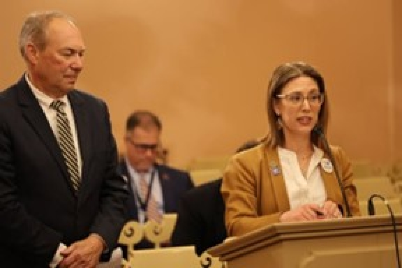 Rep. Brown Piccolantonio and Rep. Peterson Deliver Sponsor Testimony for HCR 10