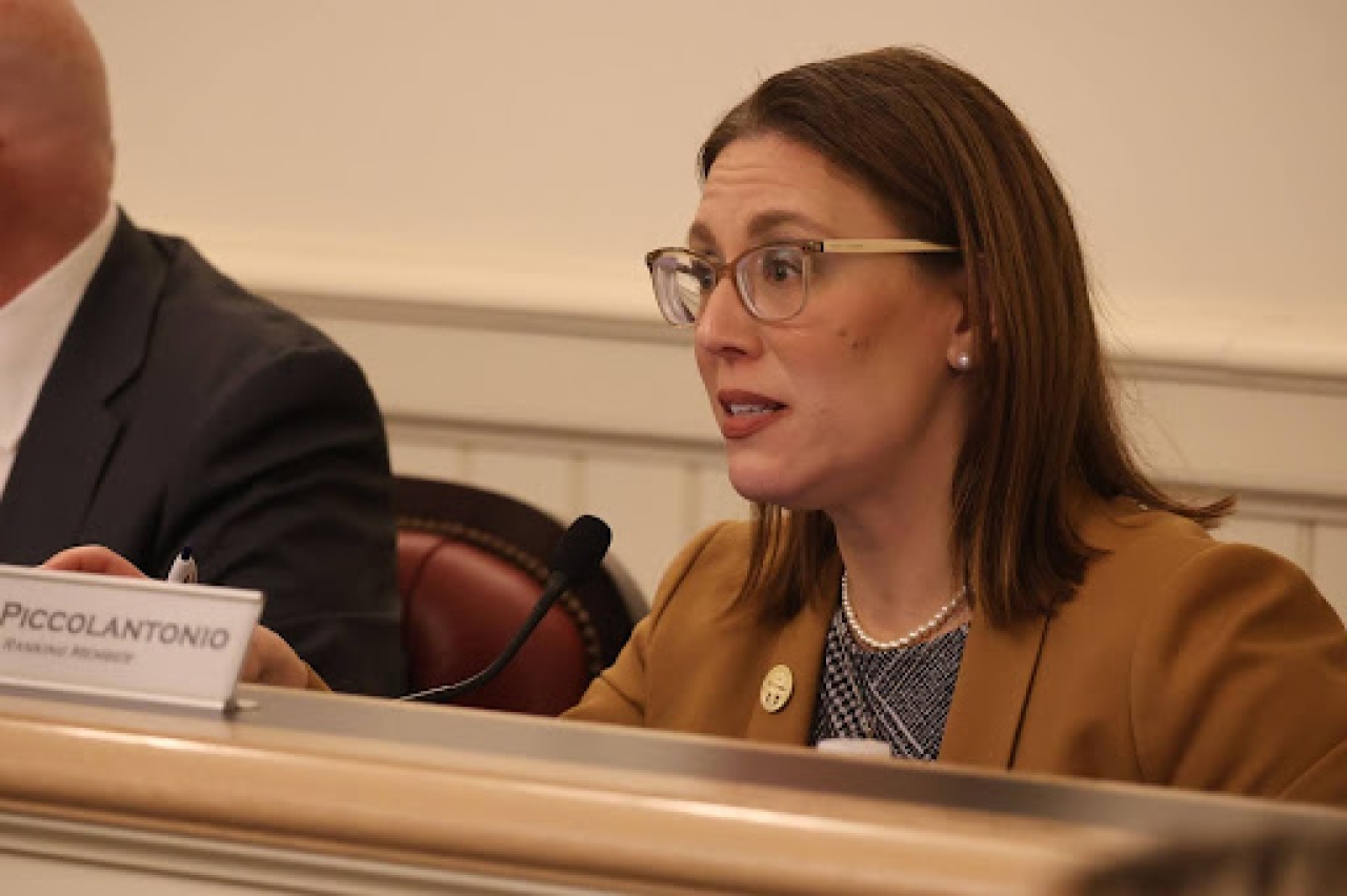 Rep. Brown Piccolantonio at the 1st SB1 Hearing