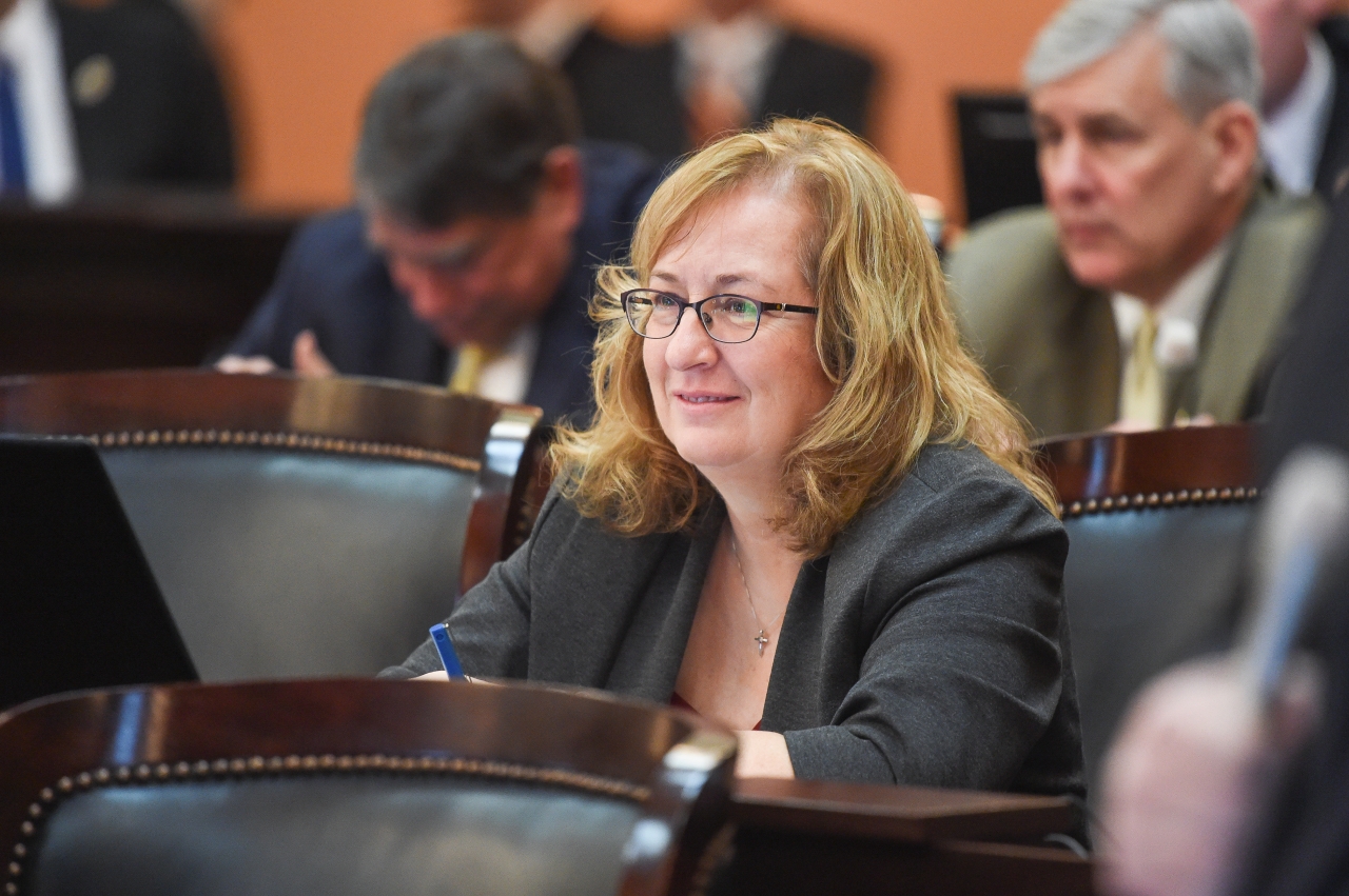 Guest Column from State Rep. Laura Lanese